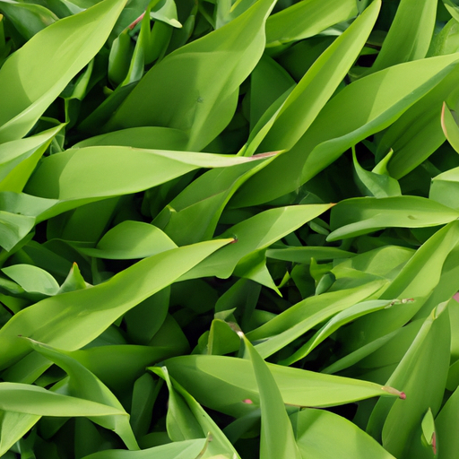 heets green